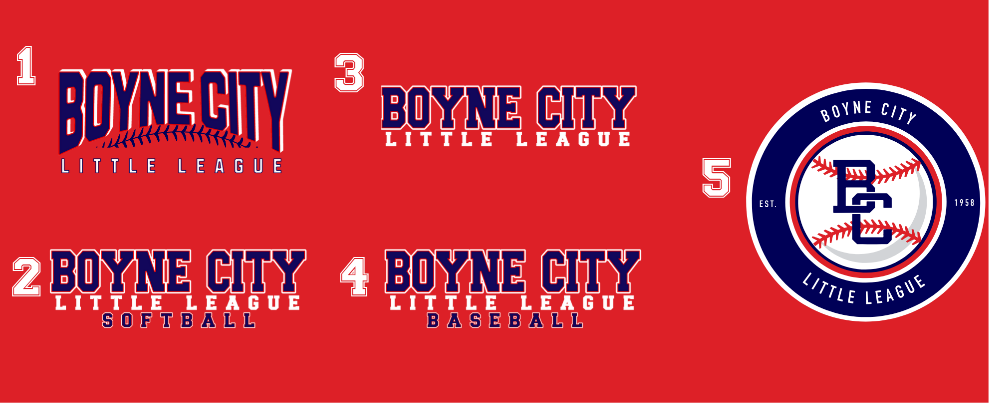 Basic Hooded Sweatshirt Youth/Adult