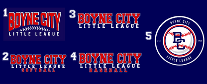 Basic Cotton Tee Shirt Youth/Adult