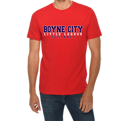 Basic Cotton Tee Shirt Youth/Adult