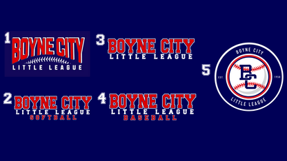 100% Polyester Performance Hooded Sweatshirt Youth/Adult