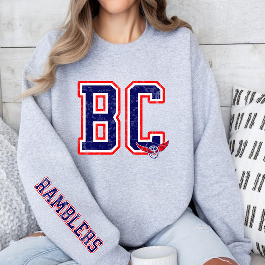 School Spirit Crewneck